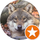 Daniel Wolf profile picture