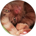 Carol Pierson profile picture